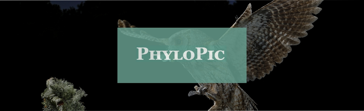 phylopic 이미지