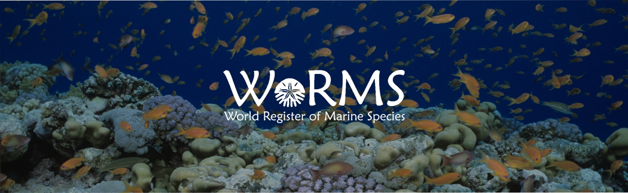 World Register of Marine Species 이미지